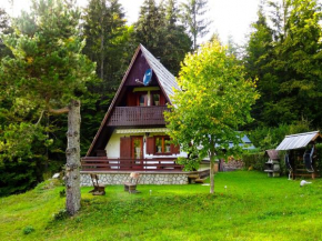 Wooden Cottage